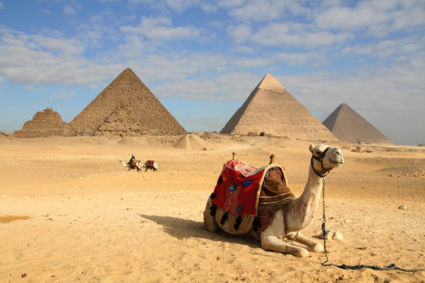 Top Egypt Tour offers day tours in Egypt and tour package in Historical & Cultural, city tours, Safari, and Nile cruise.