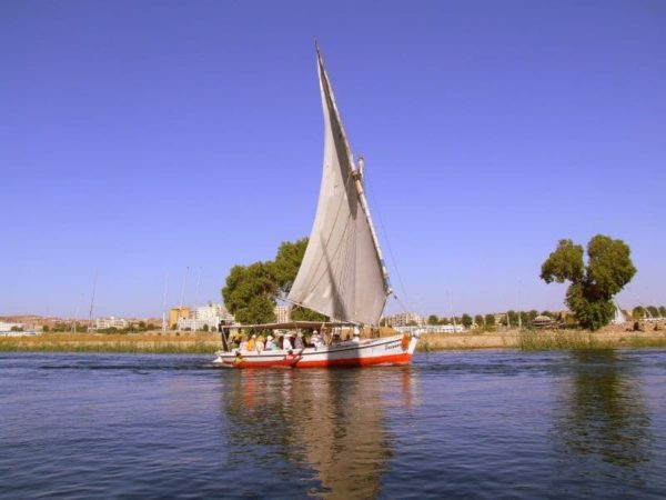 Top Egypt Tour offers day tours in Egypt and tour package in Historical & Cultural, city tours, Safari, and Nile cruise.